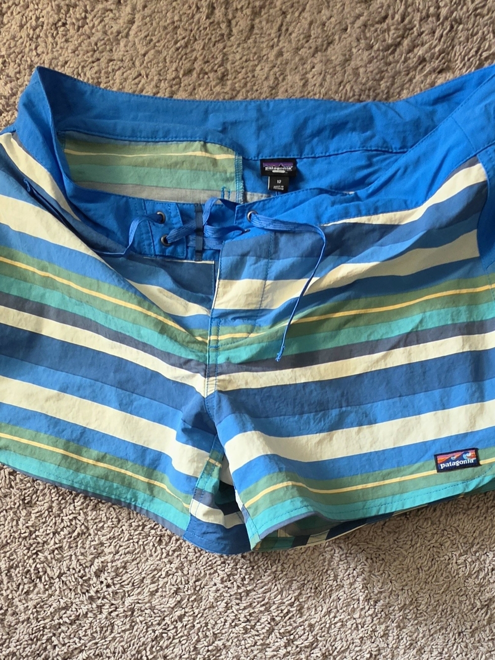 Patagonia Blue and White Striped Swim Trunks